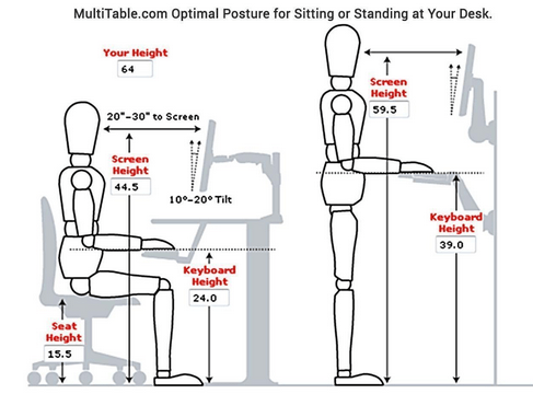 Standing and Sitting Desk Posture