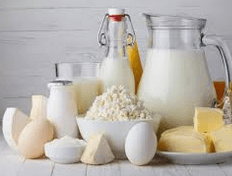 Dairy Food Recipes for Weight Loss